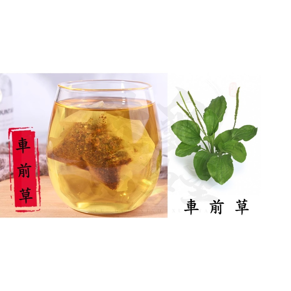 【陸龜小學堂】陸龜泡澡茶包-提摩西茶包-車前草茶包-清石茶包 10克裝-規格圖5