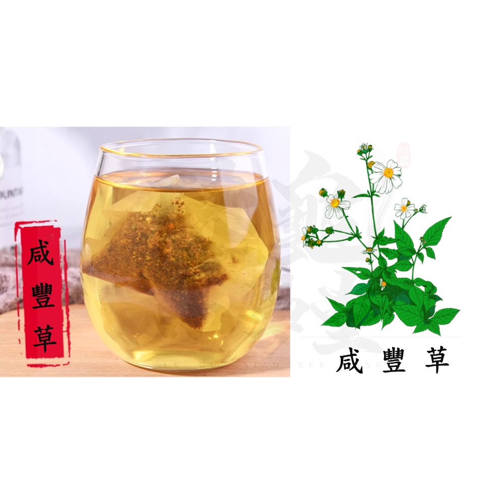 【陸龜小學堂】陸龜泡澡茶包-提摩西茶包-車前草茶包-清石茶包 10克裝-規格圖5