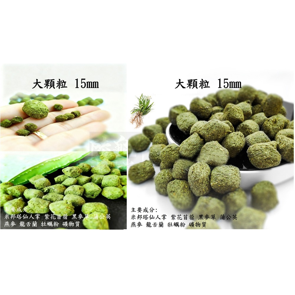 【陸龜小學堂】Macfn 仙人掌 高鈣大顆粒 陸龜飼料 1.2kg/100克 (小包裝)-細節圖3