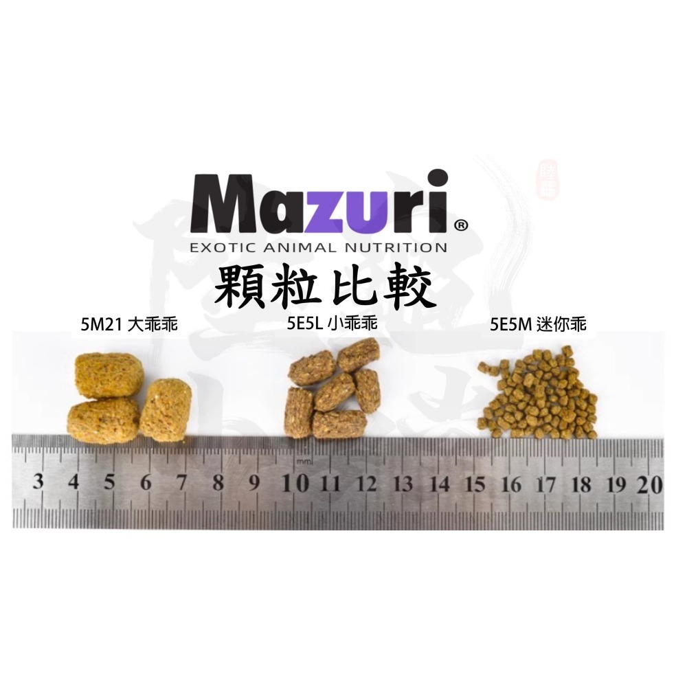 【陸龜小學堂】美國  Mazuri 小乖乖 5E5L 陸龜飼料 200克 原廠小包裝-細節圖2