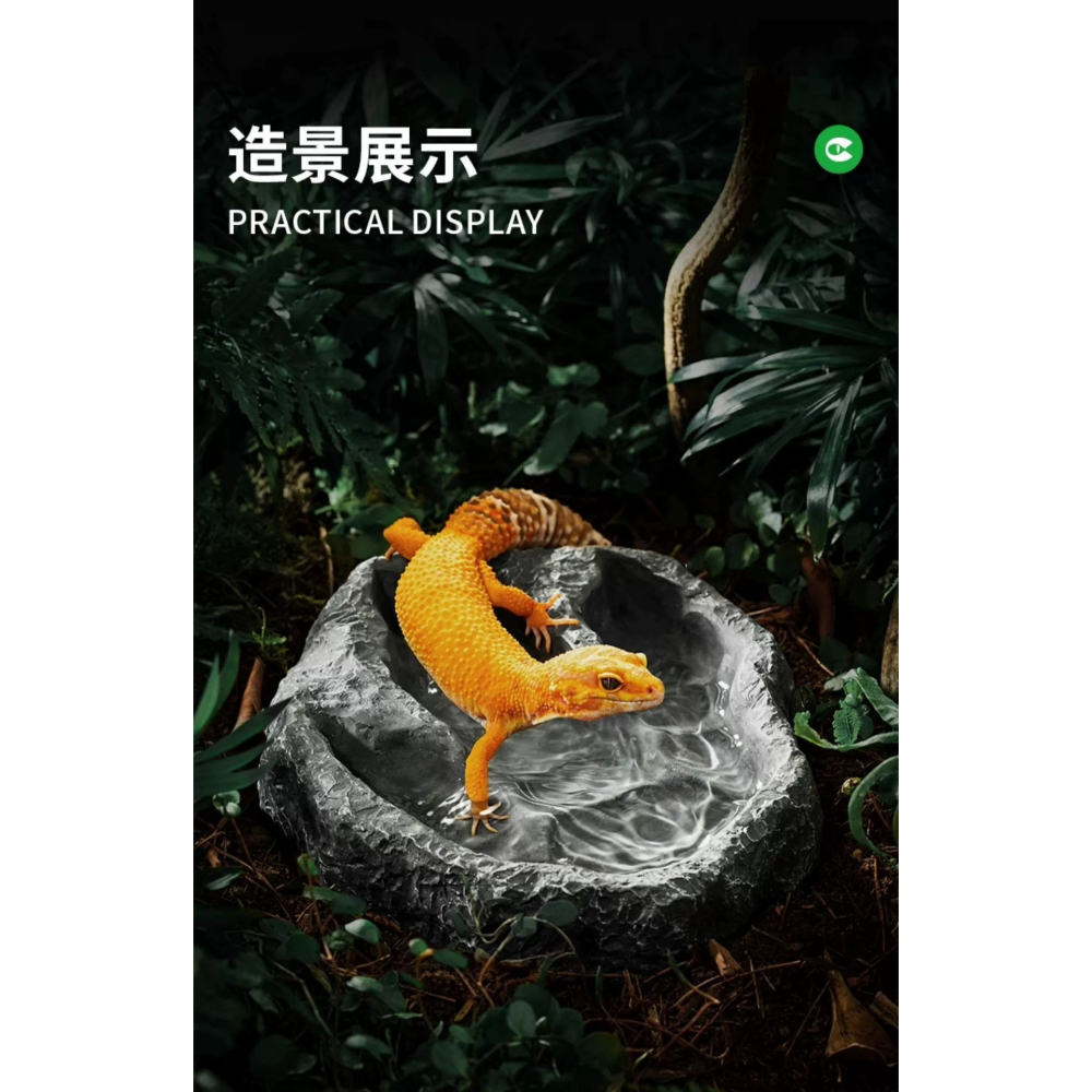 CLEEN 霸王龍腳印水盆 爬蟲飲水盆-細節圖2