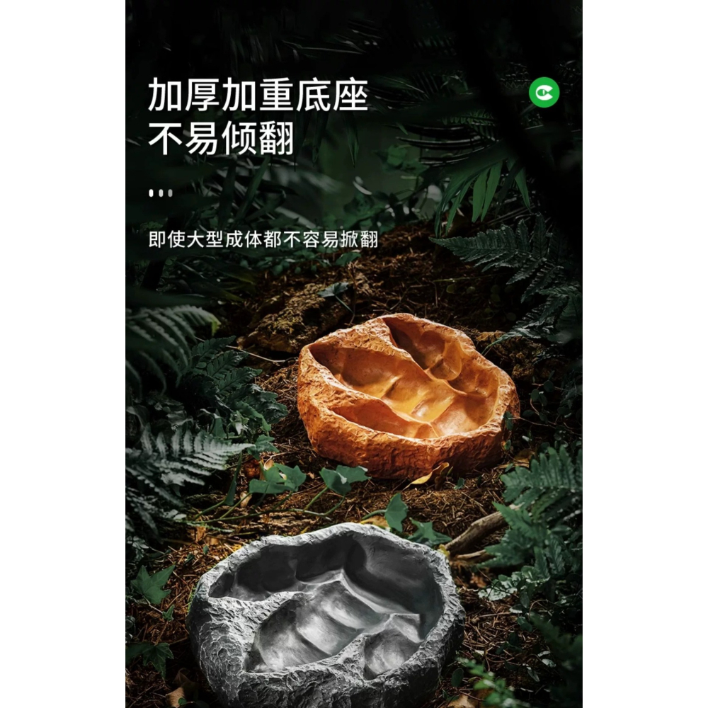 CLEEN 霸王龍腳印水盆 爬蟲飲水盆-細節圖3