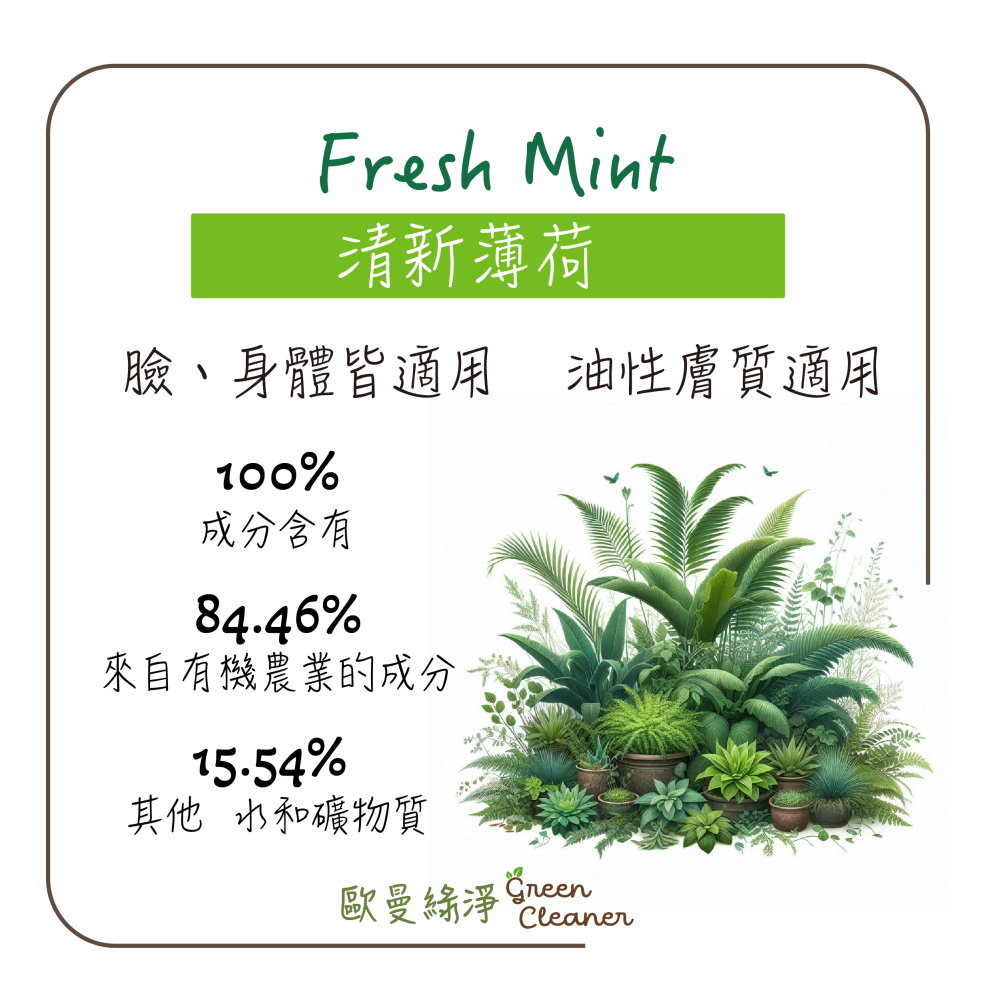 [歐曼綠淨]🇫🇷法國有機認證手工冷製皂-清新薄荷 天然成份 純素 全膚質適用 油性肌膚適用-細節圖2