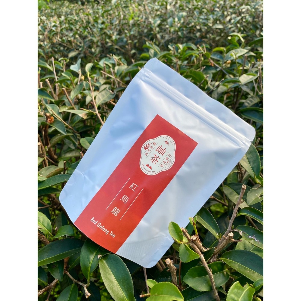 紅烏龍冷泡茶包-細節圖2