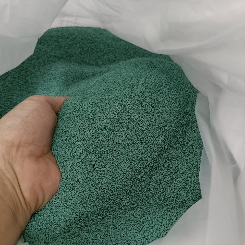 類地毯草 種子 1公斤 地毯草 巴西地毯草 草皮 草 | 網農種苗-細節圖2