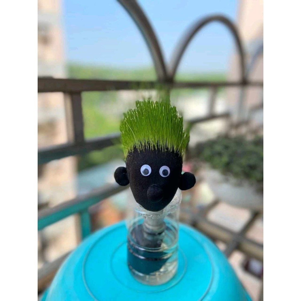 [現貨×台南出貨] 黑麥草 貓草 達冠草 1公斤 種子 草頭娃娃 草皮種子 園藝 |網農種苗-細節圖3