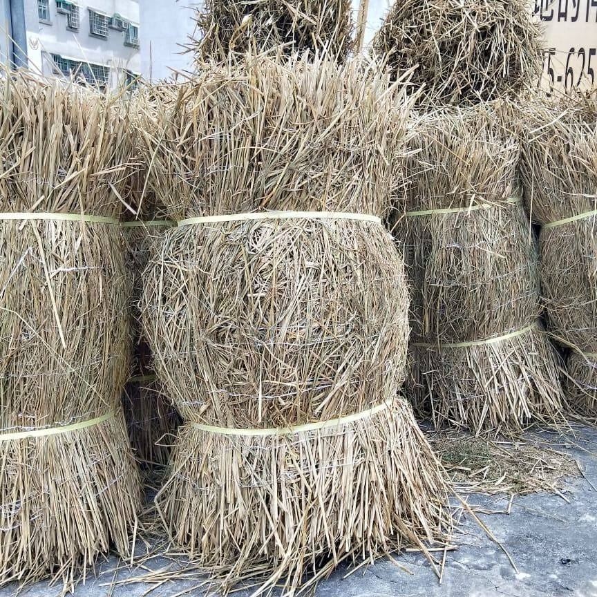 稻草蓆 稻草磚 乾稻草 100m2  園藝資材 稻草人 | 網農種苗-細節圖2