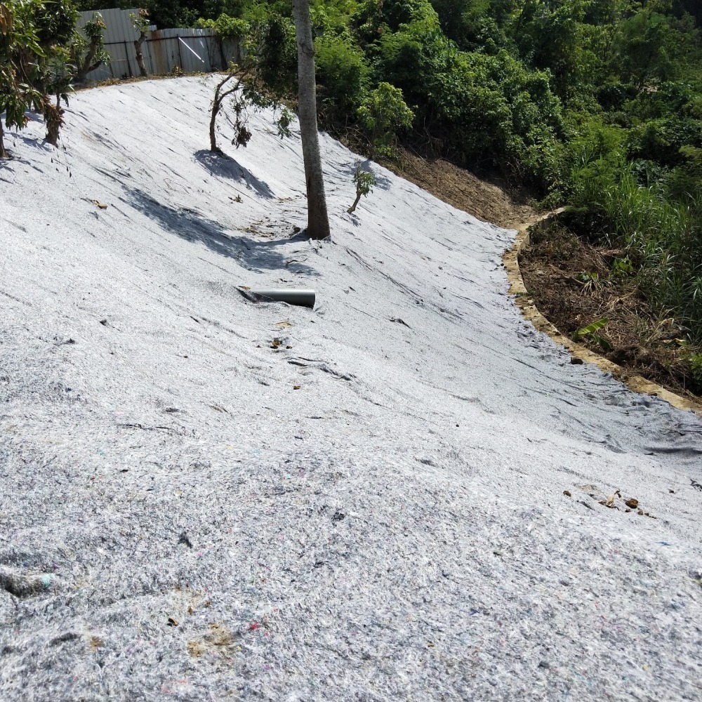 植生毯 含草種植生毯 防止土質流失 工程用雙層植生毯 山坡地綠化首選 網農種苗-細節圖5
