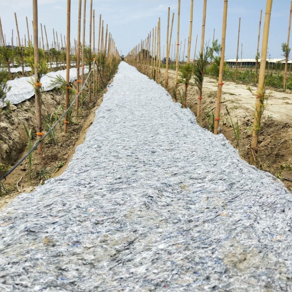 [獨家販售×台南出貨] 植生毯 園藝資材 100M2 水土保持 防土質流失 網農種苗-細節圖4