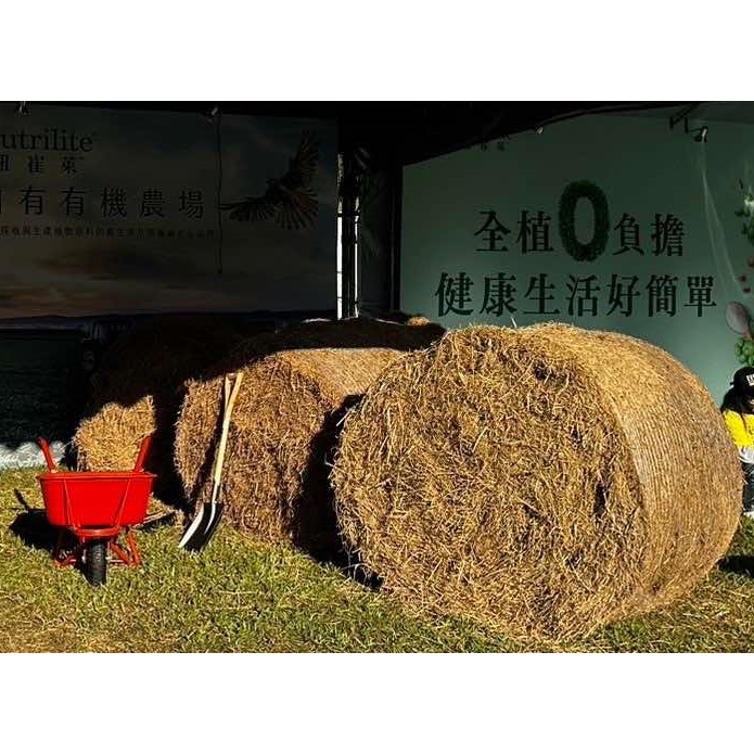 大型稻草捲 活動用稻草 網美稻草捲 專業稻草批發 | 網農種苗-細節圖3