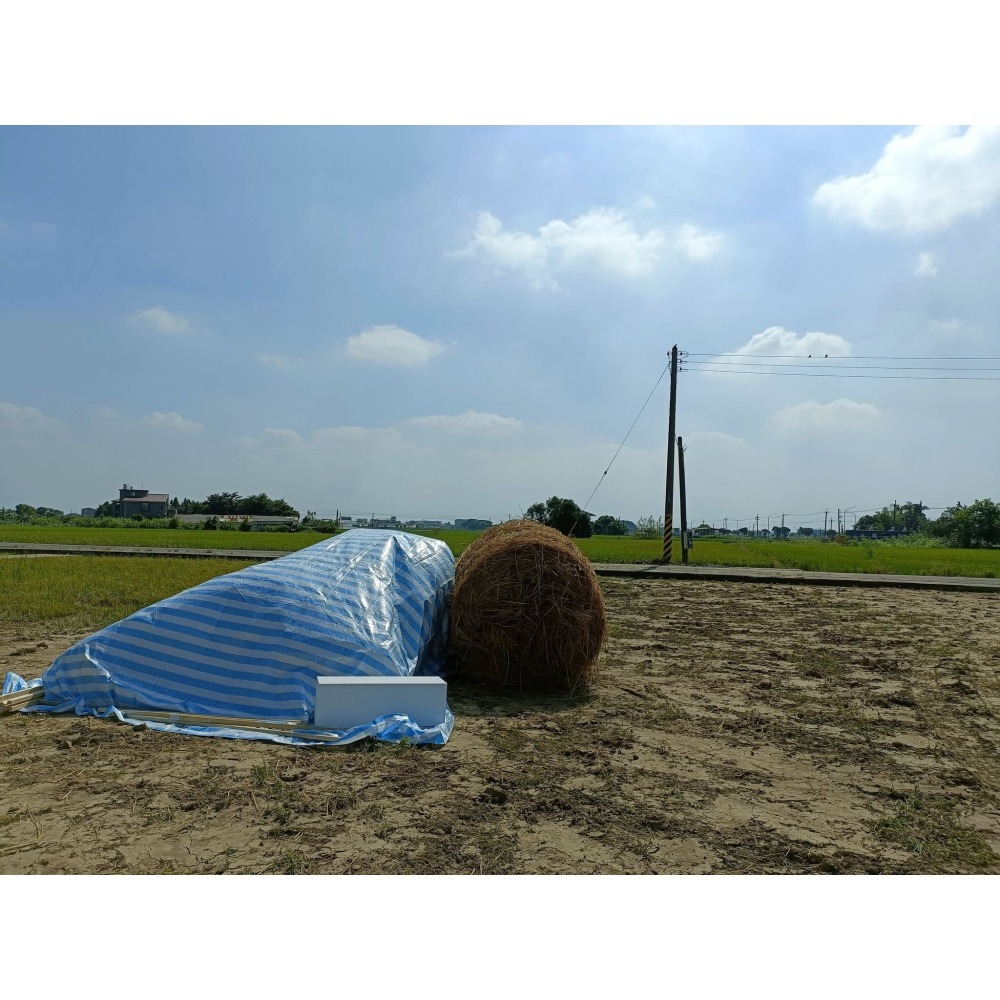 大型稻草捲 活動用稻草 網美稻草捲 專業稻草批發 | 網農種苗-細節圖4