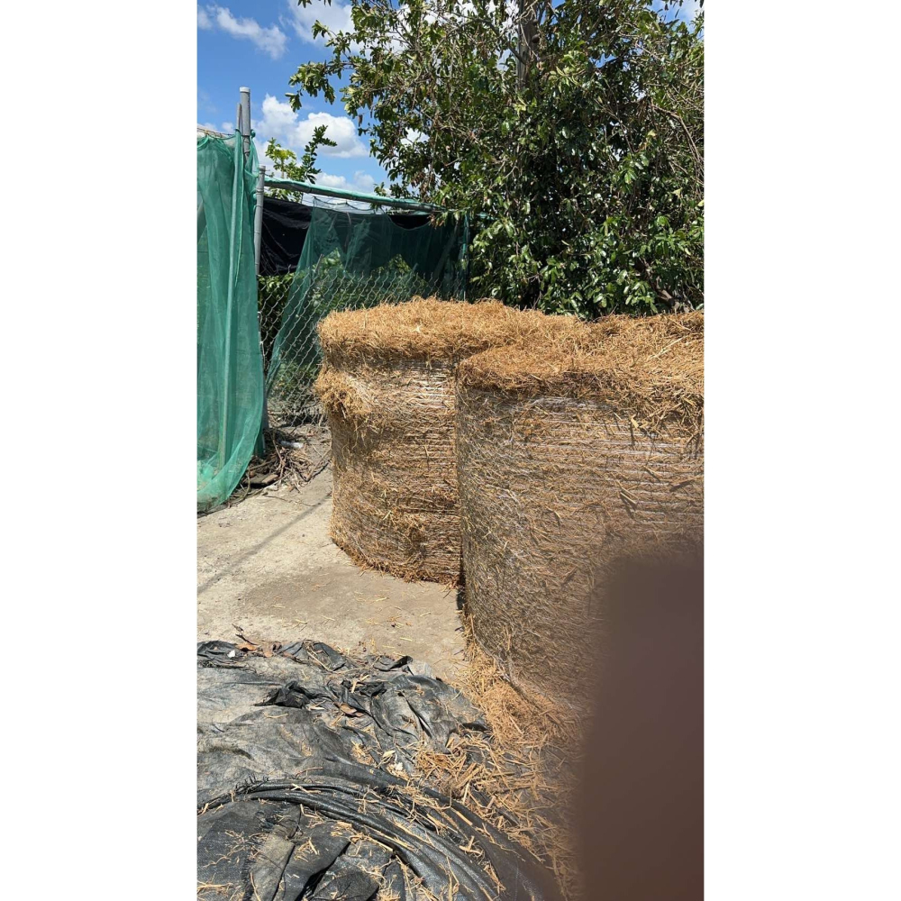 稻草 稻草捲 稻草卷 大型稻草捲 大型稻草卷 稻草批發 |網農種苗-細節圖2
