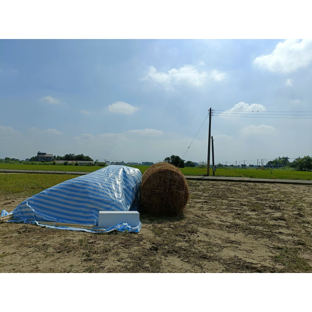 稻草 稻草捲 稻草卷 大型稻草捲 大型稻草卷 稻草批發 |網農種苗-細節圖4