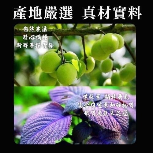 【坂尾家】日式綠茶梅200g-細節圖4