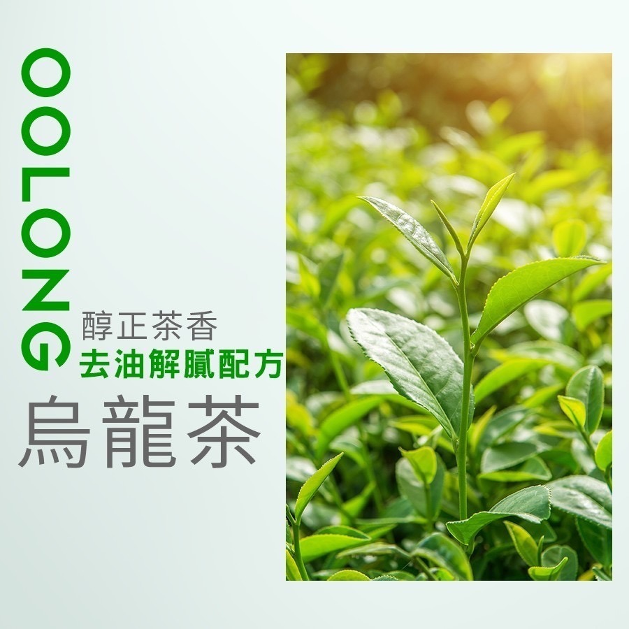 【坂尾家】烏龍梅200g-細節圖4