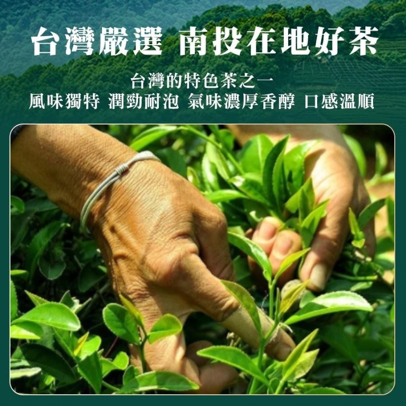 【坂尾家】南投小農升級版金萱青茶包50入-細節圖3