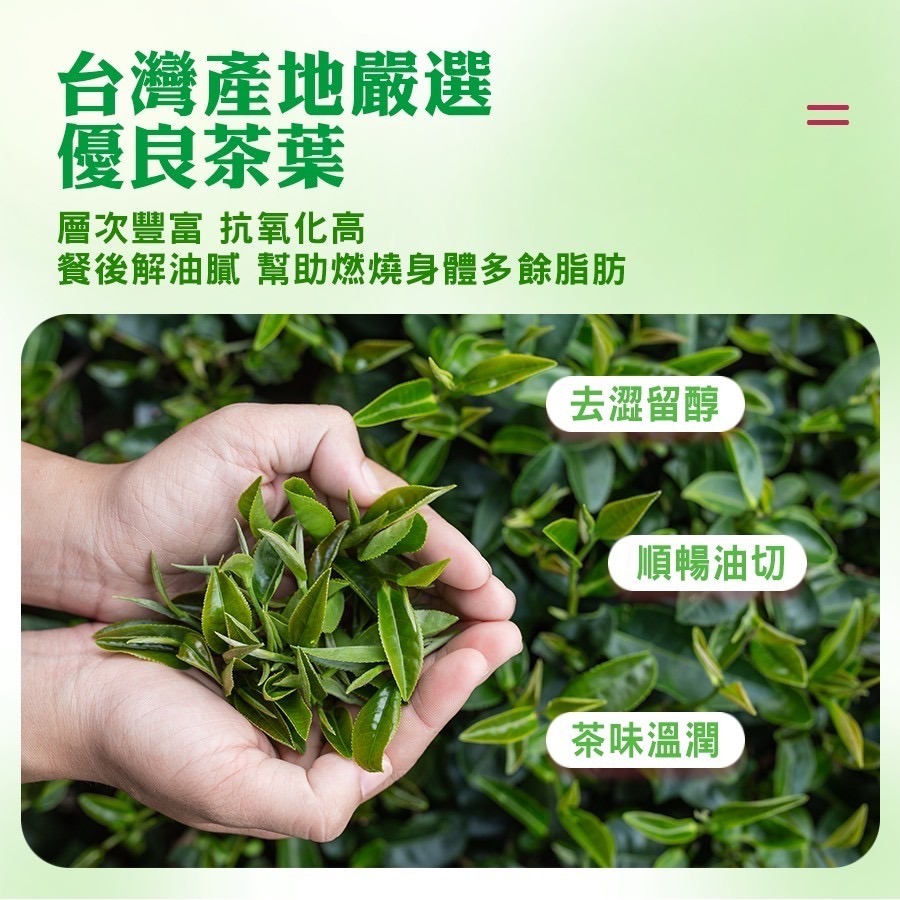 【坂尾家】MIT油切玫瑰茶50入量販包-細節圖2