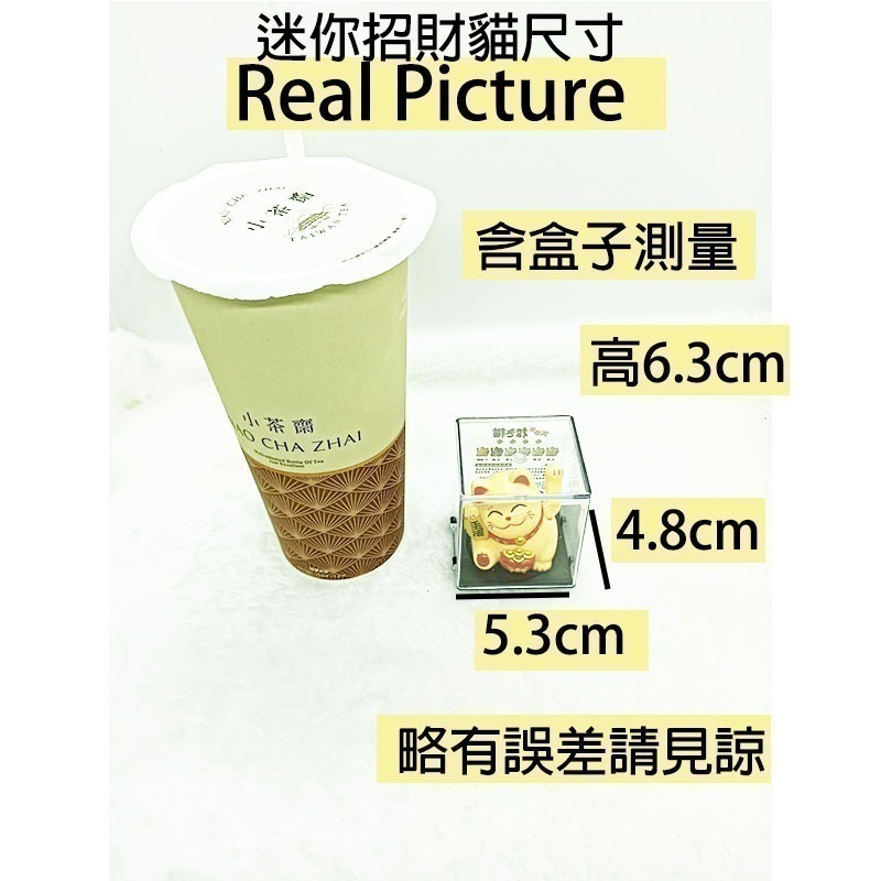 太陽能招財貓｜可愛小尺寸搖手貓 ｜招財轉運擺飾 ｜金運招財好物｜ 現貨秒出 ｜禮物首選｜愛麗絲的雜貨賣場-細節圖10