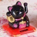 黑色小招財貓一隻