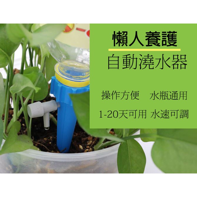 澆花神器 澆花 自動澆花 可調節自動澆花神器 可調節 園藝 植作 台灣賣家 台灣現貨 愛麗絲的雜貨賣場-細節圖4