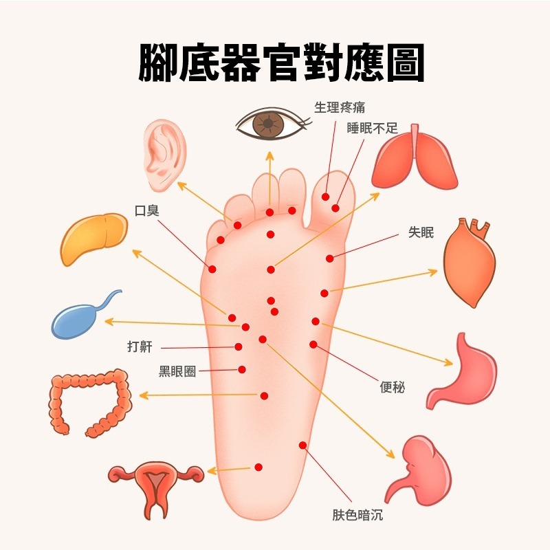 健康調理舒 頭皮按摩器 刮痧梳 頭皮放鬆器 穴道按摩梳 頭部肩頸按摩器 放鬆舒壓工具 台灣現貨 愛麗絲的雜貨賣場-細節圖7