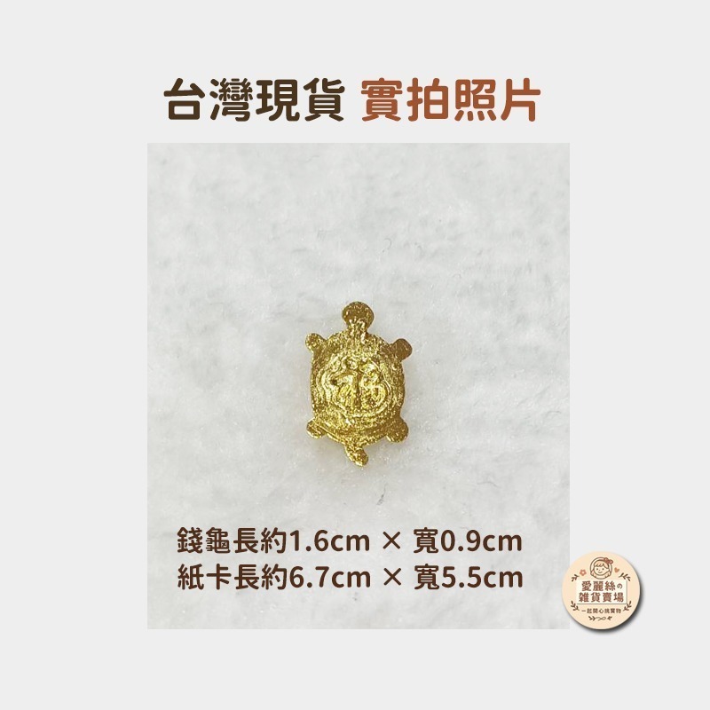 💛 【淺草觀音祈福】金色錢龜 招財小龜 聚財小物 錢包開運吉祥物 招財開運 龜殼聚財💛愛麗絲的雜貨賣場-細節圖5