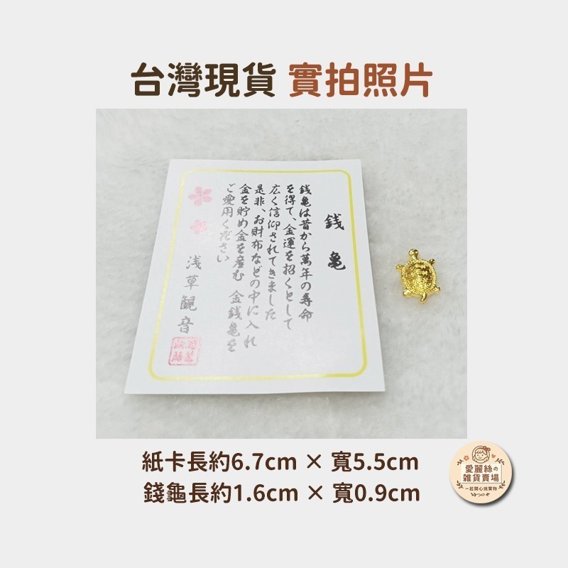 💛 【淺草觀音祈福】金色錢龜 招財小龜 聚財小物 錢包開運吉祥物 招財開運 龜殼聚財💛愛麗絲的雜貨賣場-細節圖6