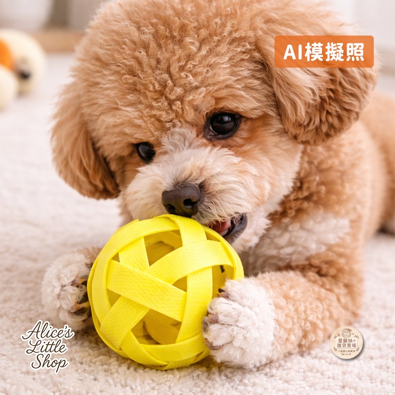 手作寵物玩具球｜狗狗玩具球｜耐咬編織球｜寵物解悶玩具｜小型犬玩具｜現貨 愛麗絲的雜貨賣場-細節圖2