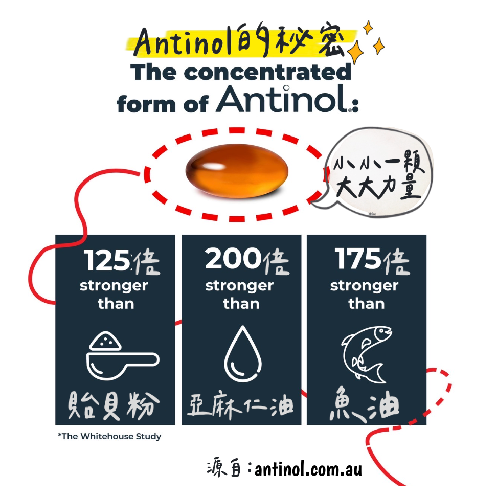 【 Antinol Plus澳洲原裝】公司貨180顆 犬貓關節保健『24hr出貨+電子發票』-細節圖4