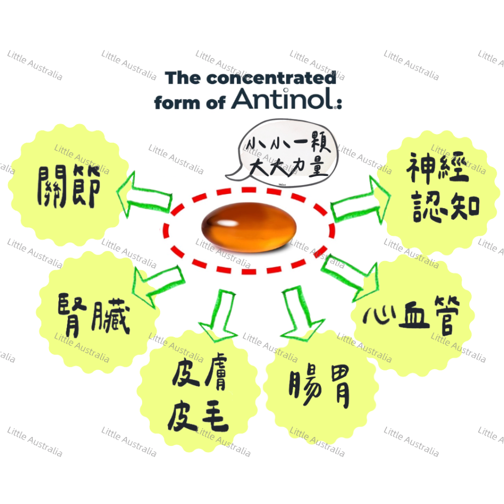 【 Antinol Plus澳洲原裝】公司貨180顆 犬貓關節保健『24hr出貨+電子發票』-細節圖5