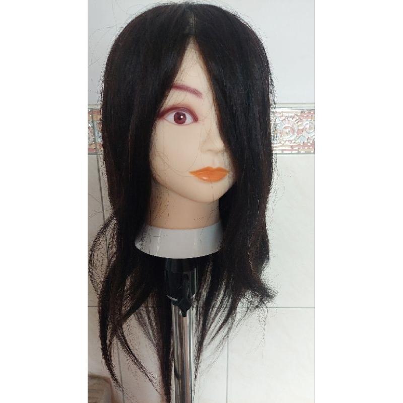 練習用 美髮 金髮 金色 棕髮 黑髮 頭髮 練習 頭 單頭 假人頭 18吋 22吋 一體成型 編髮 包頭 剪髮 可電棒-細節圖7