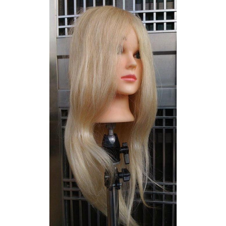 現貨 白金 白色 亞麻 白髮 22吋 安尼 安妮 可染 可燙 金髮 練習頭 假人頭 美髮 練習 考試 100% 真髮-細節圖2