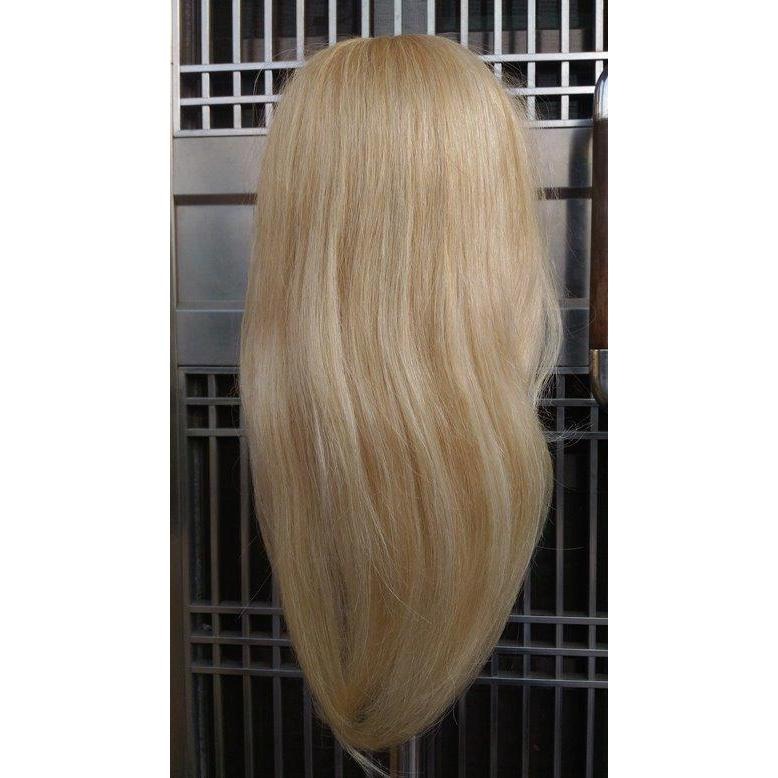 現貨 白金 白色 亞麻 白髮 22吋 安尼 安妮 可染 可燙 金髮 練習頭 假人頭 美髮 練習 考試 100% 真髮-細節圖3