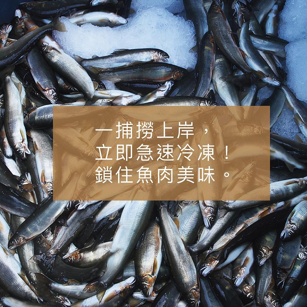 祥鈺水產｜宜蘭香魚(母) 1kg/盒-細節圖4