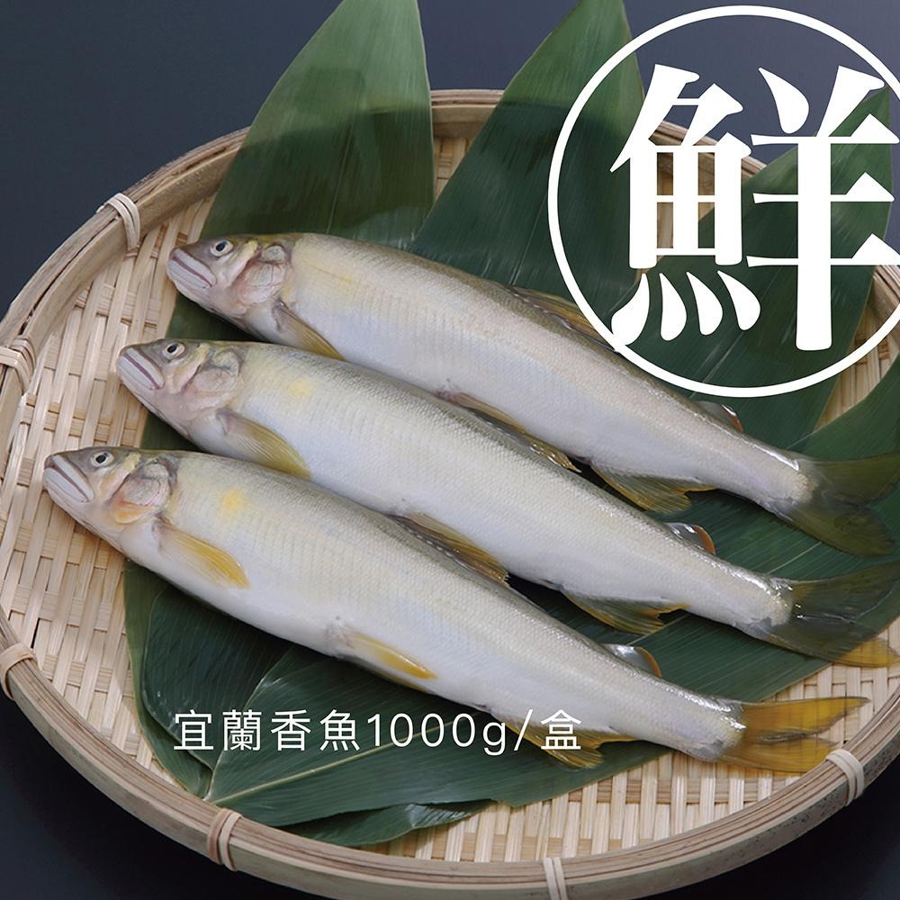 祥鈺水產｜宜蘭香魚(母) 1kg/盒-細節圖5