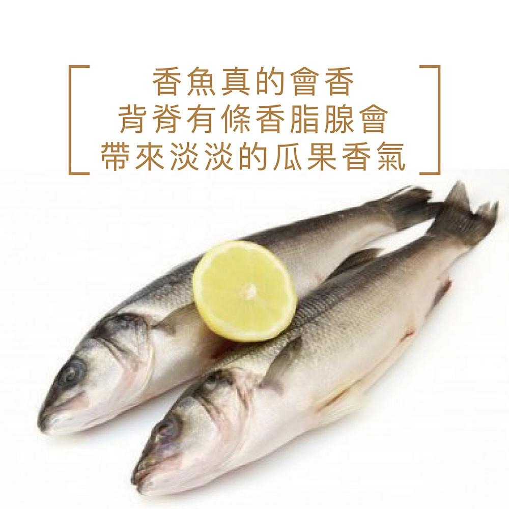 祥鈺水產｜宜蘭香魚(母) 1kg/盒-細節圖6