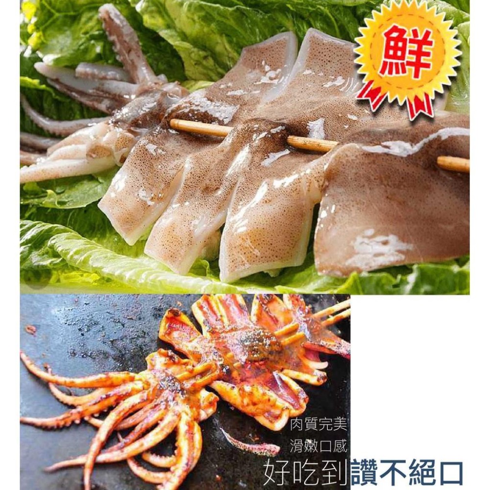 祥鈺水產｜新鮮魷魚串 1隻 約200g±10%-細節圖4