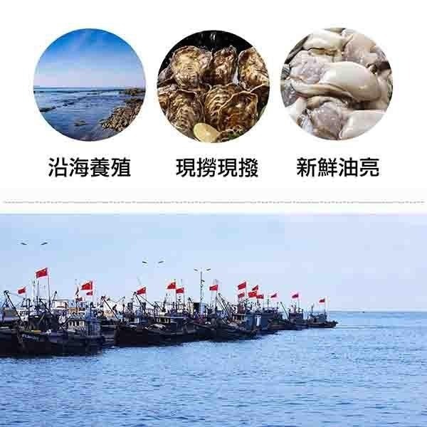 祥鈺水產｜肥美大鮮牡蠣(鮮蚵) 時價 600g 現撈去殼 實重 不含水-細節圖7