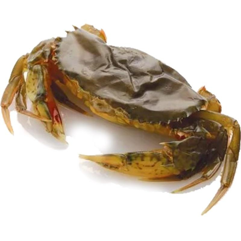 祥鈺水產｜軟殼蟹 600g 內有6隻-細節圖2