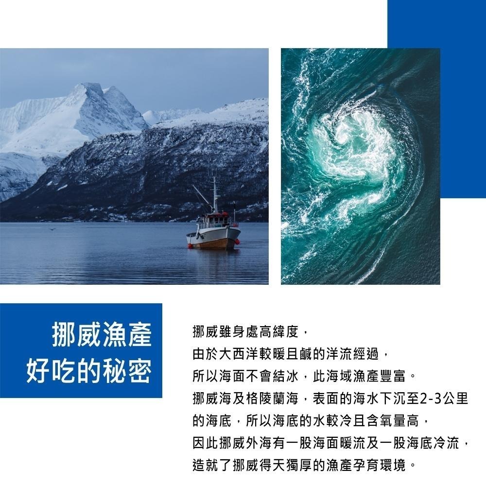 祥鈺水產｜挪威薄鹽鯖魚4公斤15片，單片260g±20克 優惠組-細節圖5