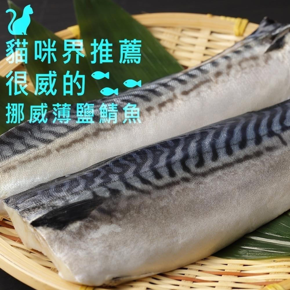 祥鈺水產｜挪威薄鹽鯖魚4公斤15片，單片260g±20克 優惠組-細節圖3