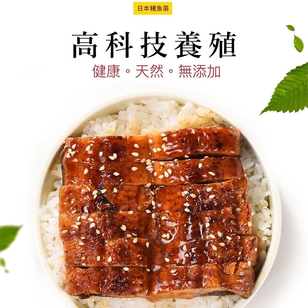 祥鈺水產｜日式蒲燒鰻 500g 無醬 整尾鰻魚-細節圖3