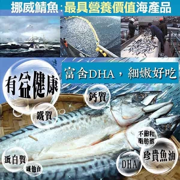 祥鈺水產｜鯖魚一夜干 240g±10%/尾-細節圖3