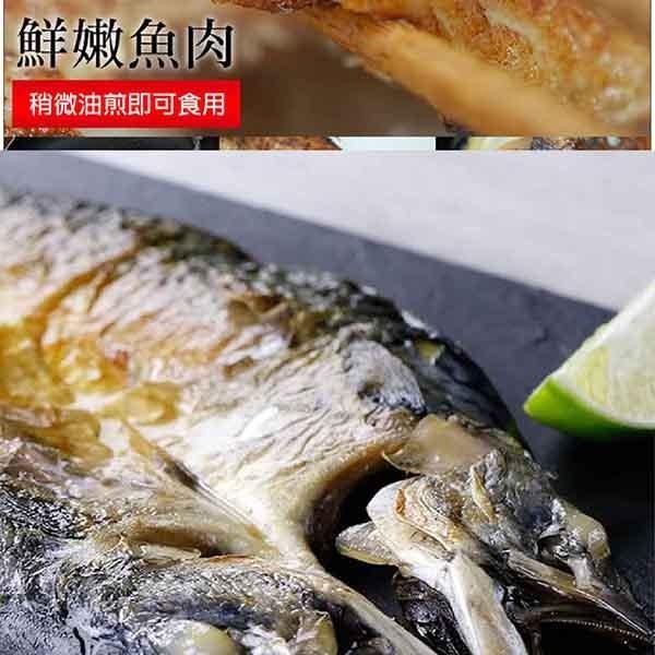 祥鈺水產｜鯖魚一夜干 240g±10%/尾-細節圖5