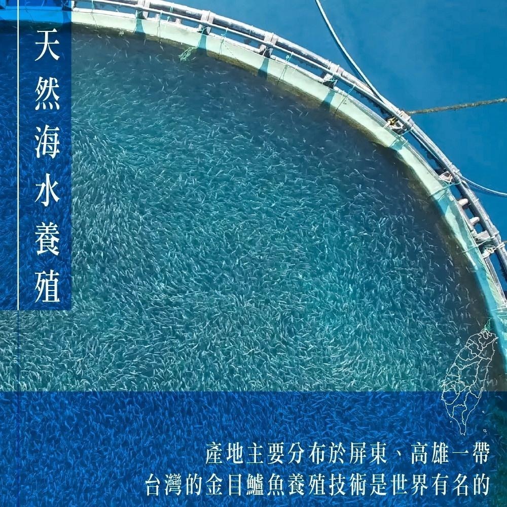 祥鈺水產｜鱸魚清肉片 300/400 淨重300±10%/片-細節圖4
