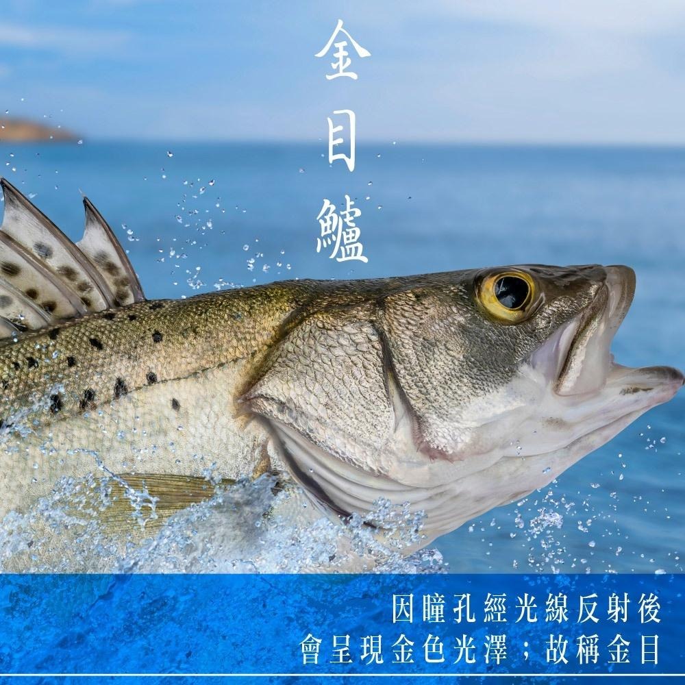 祥鈺水產｜鱸魚清肉片 300/400 淨重350±10%/片-細節圖4