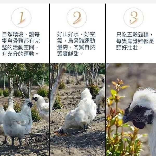祥鈺水產｜自然放養 無毒烏骨雞全雞 1kg/隻-細節圖6