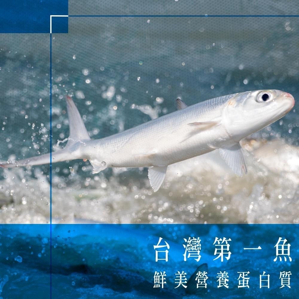 祥鈺水產｜去刺虱目魚肚 台南-細節圖4
