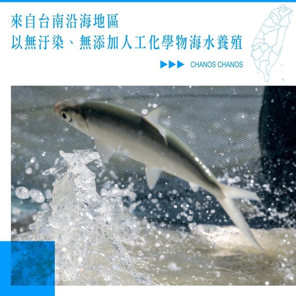 祥鈺水產｜去刺虱目魚肚 台南-細節圖5