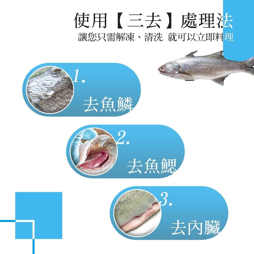 祥鈺水產｜特大尾午仔魚 台灣第一魚 600g/尾(未去除內臟整尾重量) 當日活體代殺  急速冷凍-細節圖6